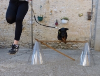 Zoom